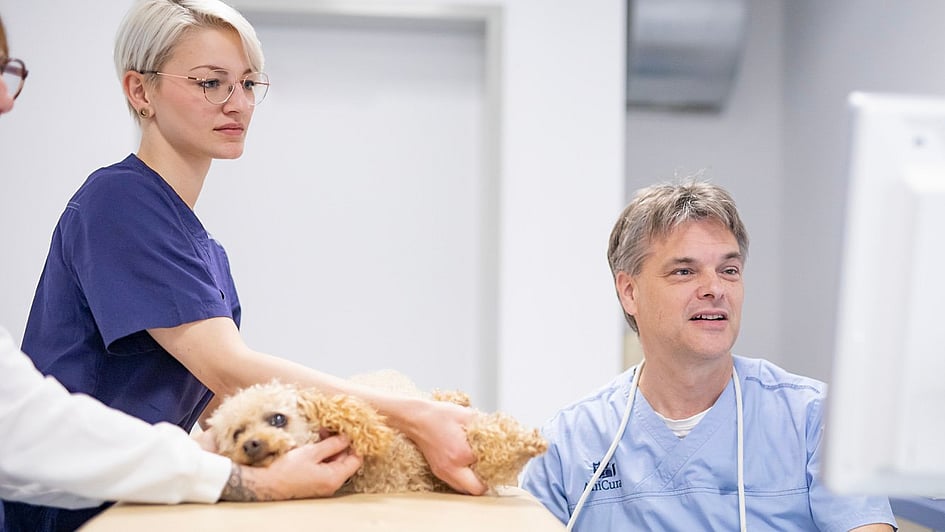 A person and person holding a dog.