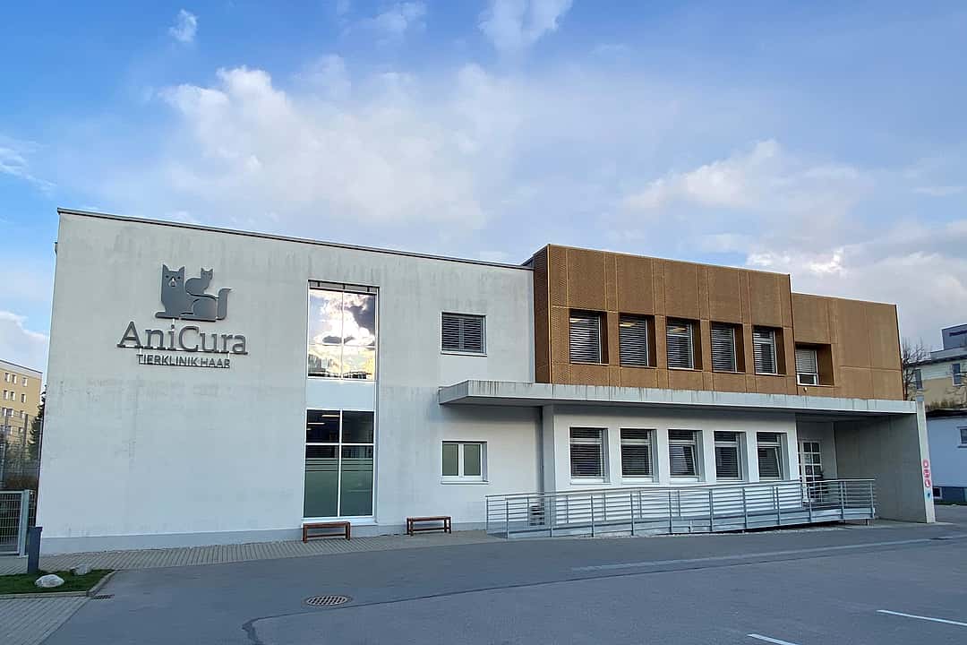 Die Praxis ist in einem sehr großen und modernen Gebäude aus Beton mit Holzelementen. An der Wand ist ein großes Anicura-Logo abgebildet.