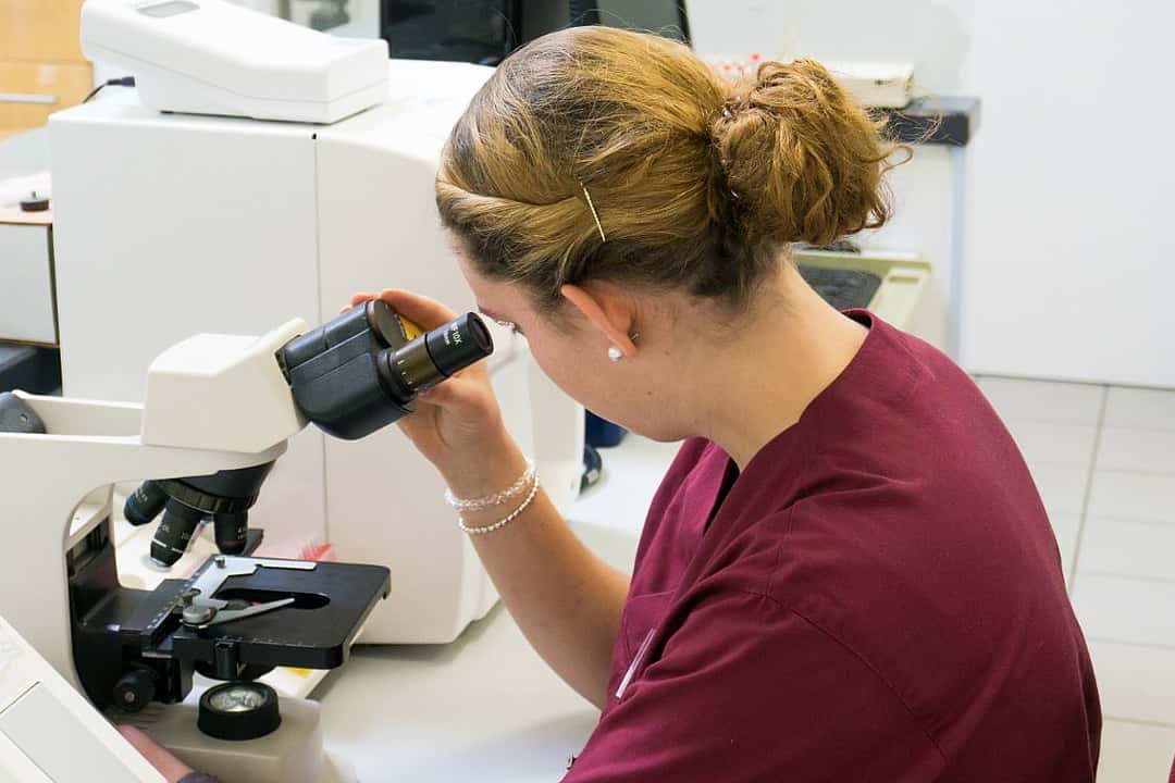 Eine Tierpflegerin schaut sich durch ein Mikroskop eine Probe an.