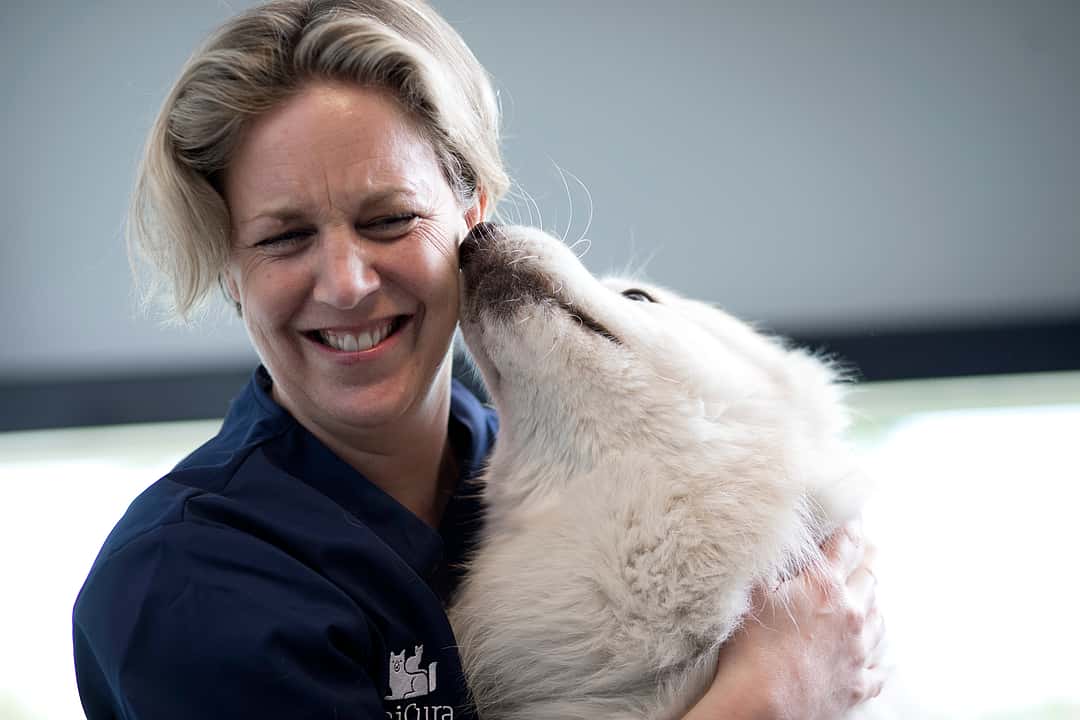Eine Tierärztin hält neben sich einen weißen Hund im Arm. Sie lacht in die Kamera, während er an ihrem Gesicht riecht.