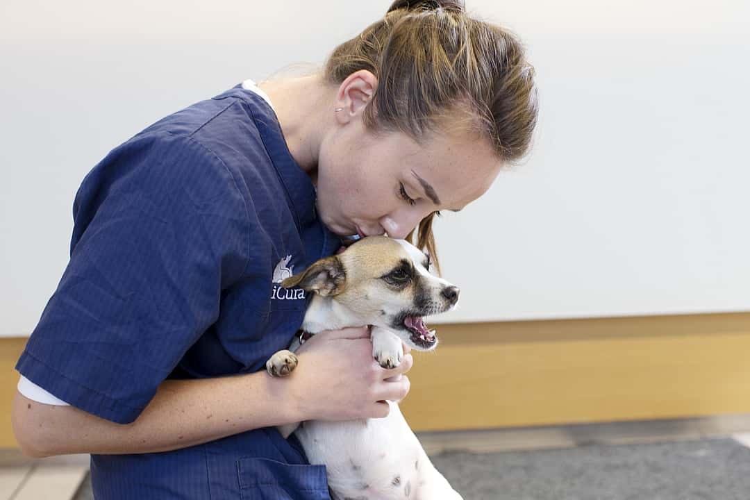 Eine Tierärztin kniet auf dem Boden und hält vor sich einen kleinen Hund. Sie beugt sich runter und gibt ihm einen Kuss auf den Kopf.