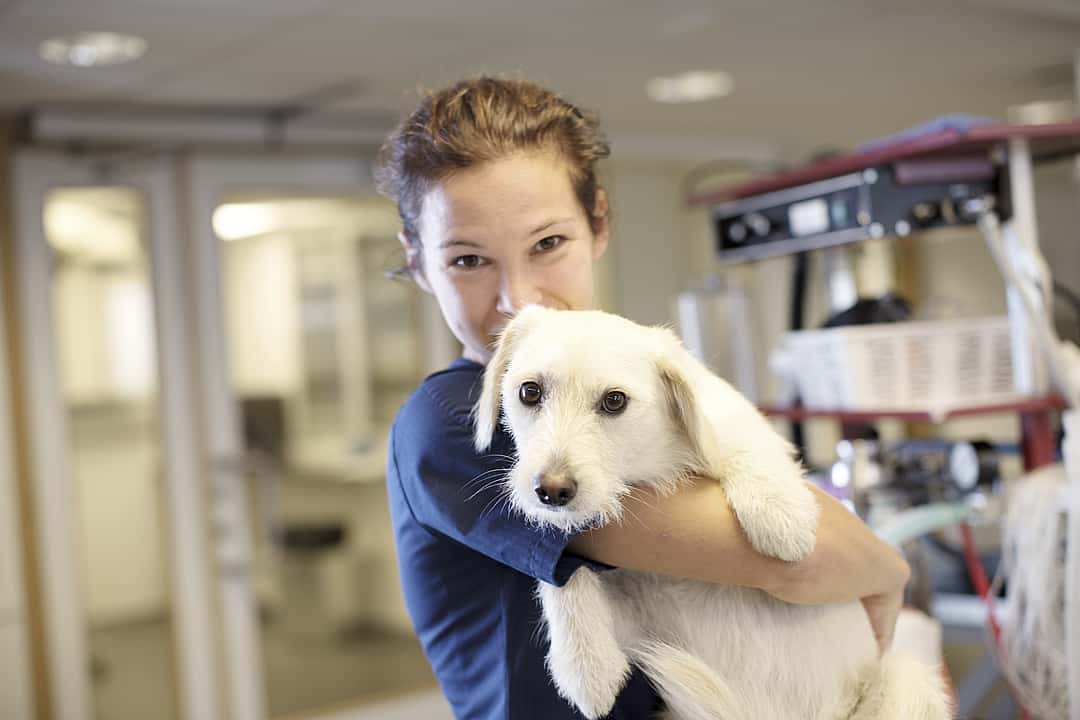 Eine Tierärztin hält einen weißen Hund auf dem Arm und kuschelt mit ihm. Beide schauen in die Kamera.