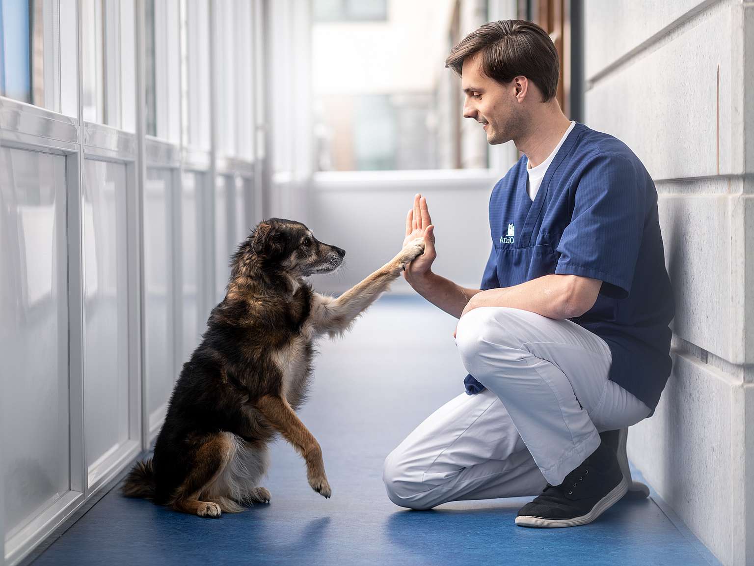 Ein Tierarzt ist in die Hocke gegangen. Er und ein Hund geben sich ein High-Five.