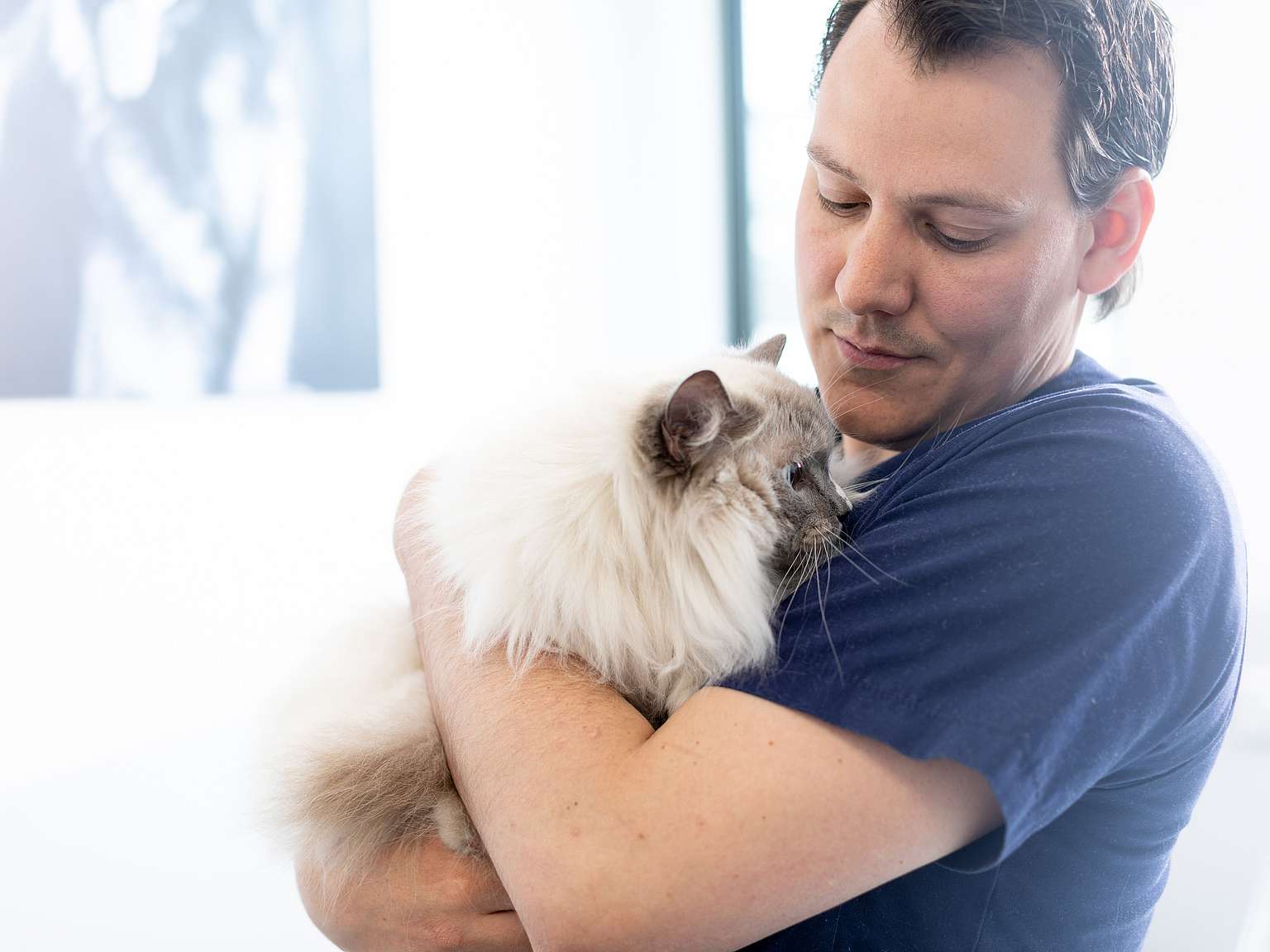 Tierarzt trägt Katze