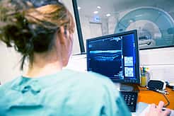 Eine Tierärztin steht mit dem Rücken zur Kamera und betrachtet auf einem Computer ein Röntgenbild.