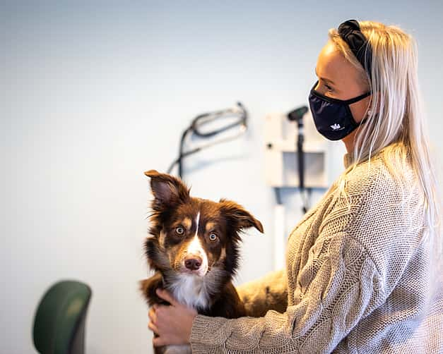 Eine Frau mit Maske hält ihren Hund, der vor ihr auf der Untersuchungsliege sitzt.