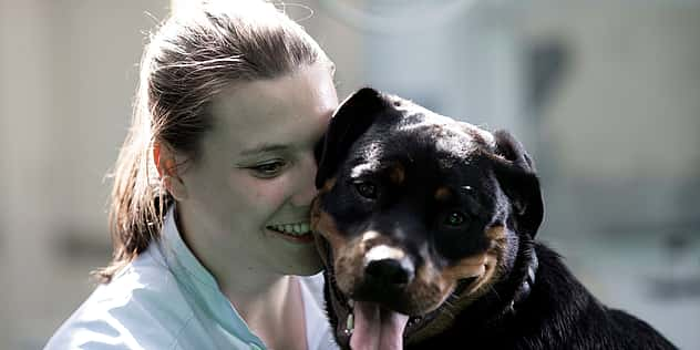 Eine Tierärztin kuschelt mit einem Rottweiler und lacht dabei. Sie halten ihre Köpfe aneinander.