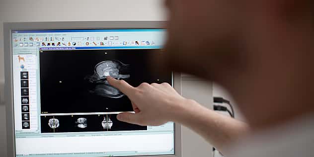 Eine Hand zeigt auf einen Bildschirm, auf dem ein Röntgenbild zu sehen ist.