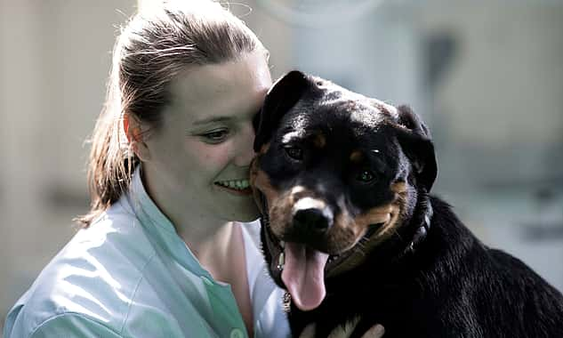 Eine Tierärztin sitzt neben einem Rottweiler. Sie sind aneinandergeschmiegt und scheinen beide zu lachen.