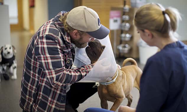 Ein Hund mit einer Halskrause beugt sich zu seinem Besitzer, der lacht und ihn streichelt. Neben ihnen sitzt eine Tierpflegerin.