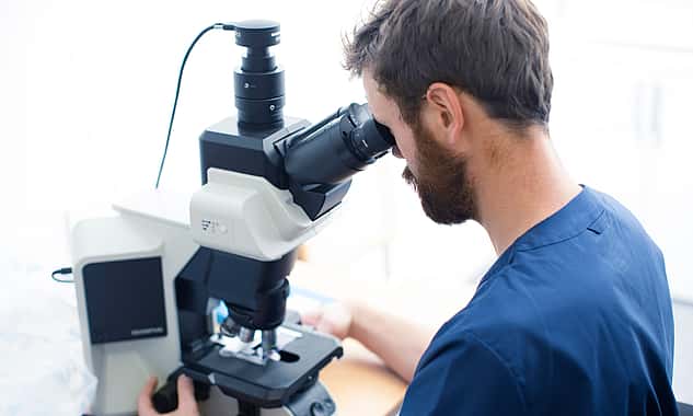 Ein Tierarzt schaut sich durch ein Mikroskop eine Probe an.
