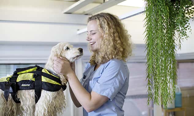 Eine Tierpflegerin streichelt den Kopf von einem Hund, der eine Schwimmweste trägt und noch leicht nass ist. Sie lacht ihn dabei an.