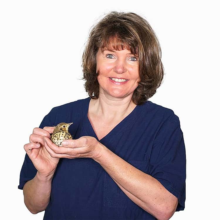 Magdalene Tigges
