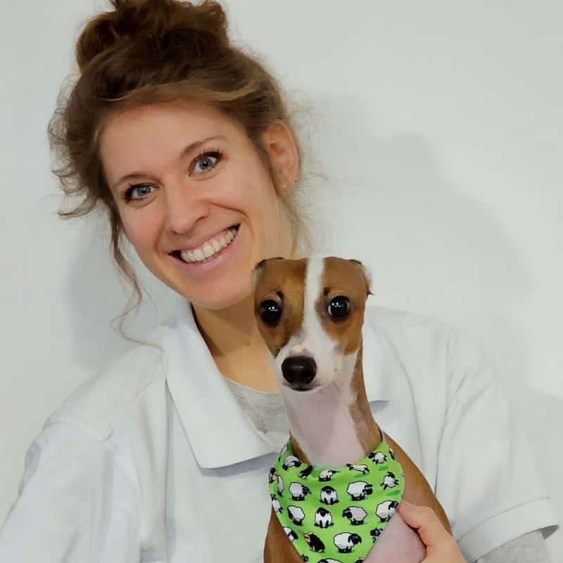 Dr. Birte Hartung