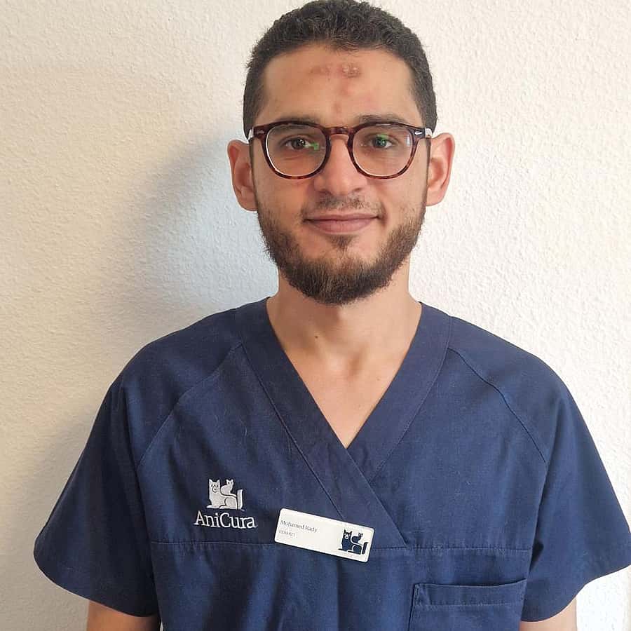Mohamed Rady