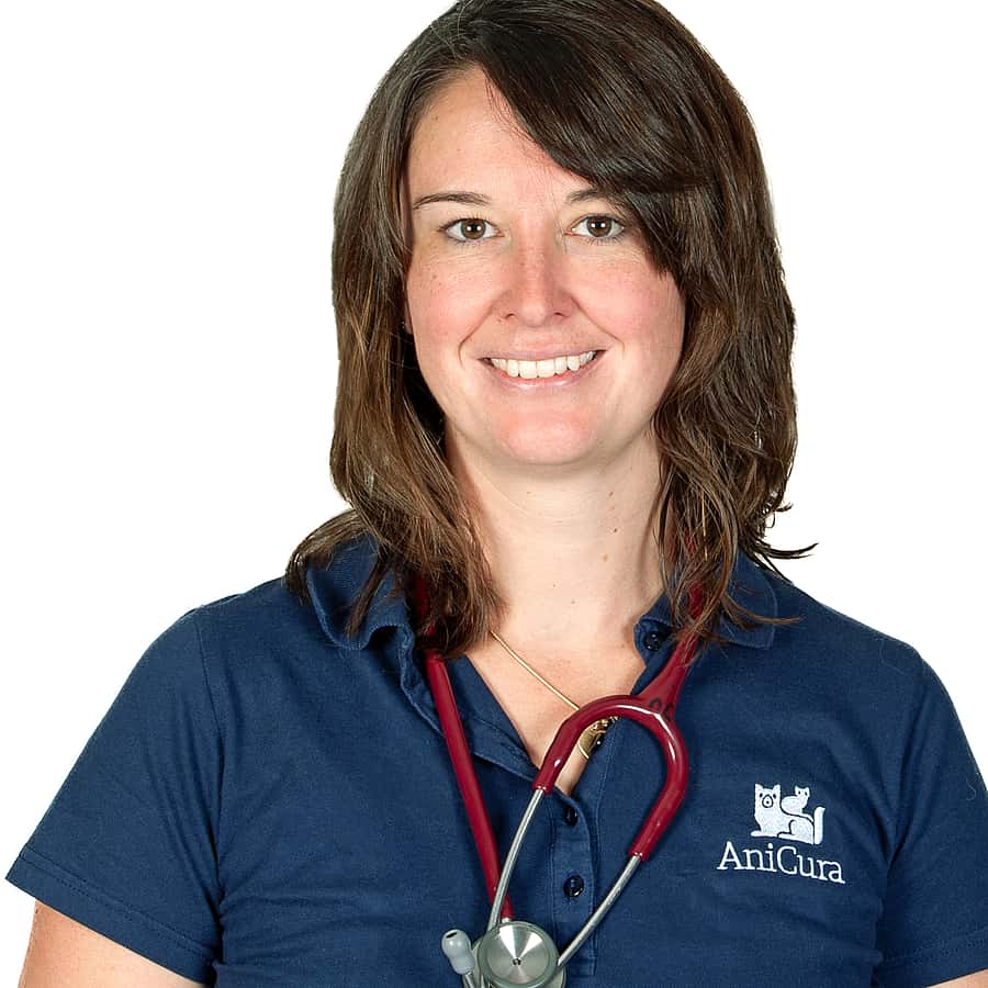 Dr. Stefanie Dörfelt