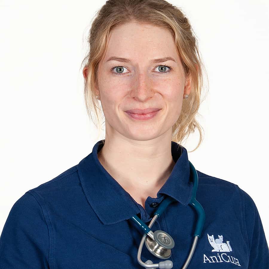Johanna Fröhlich