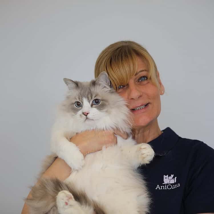 Silke Büsse