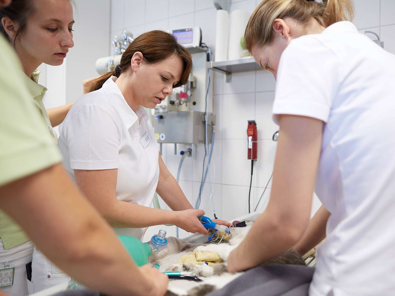Unser Team der Kleintierspezialisten Kempten