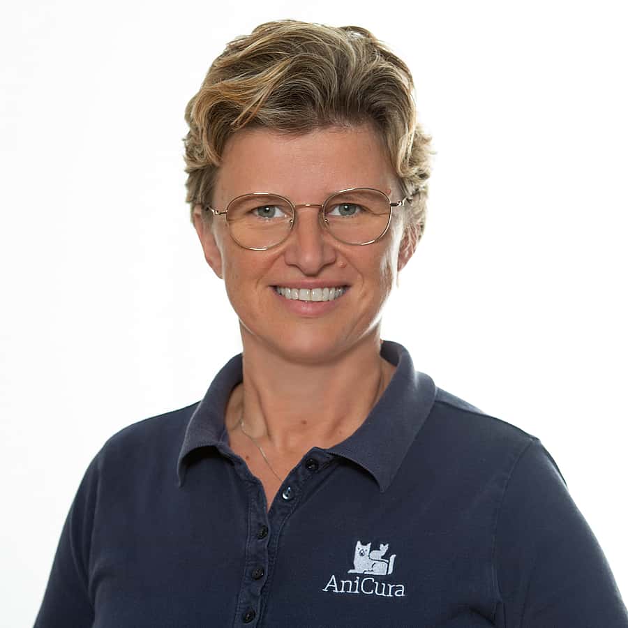 Daniela Steglich