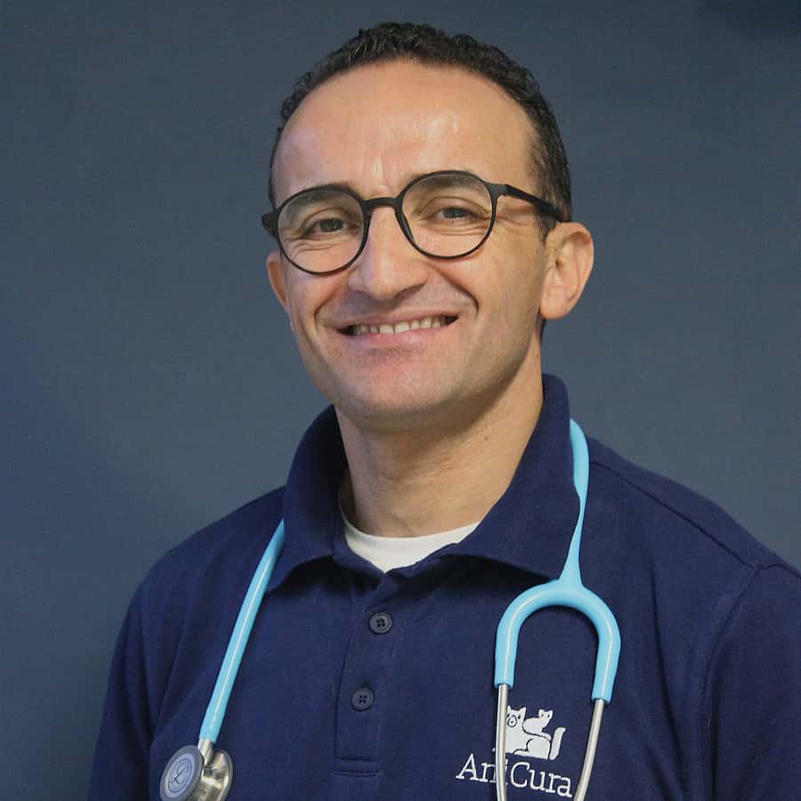 Dr. Hassan Mafamane