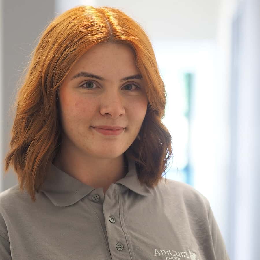 Stefanie Wullenkord