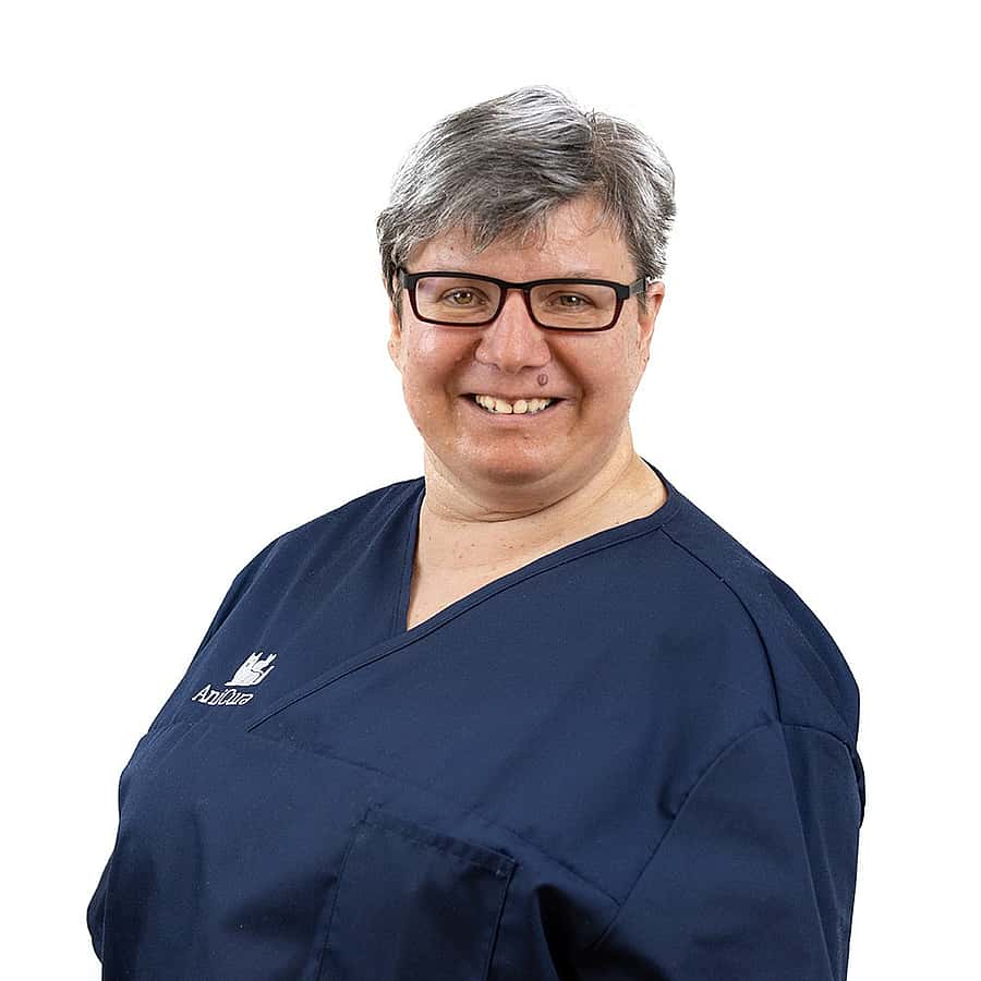 Heike Steinmann