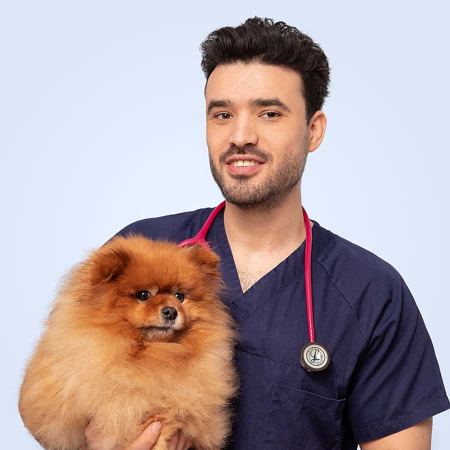Mohammed Elsayed