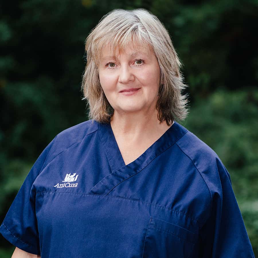 Sybille Burk