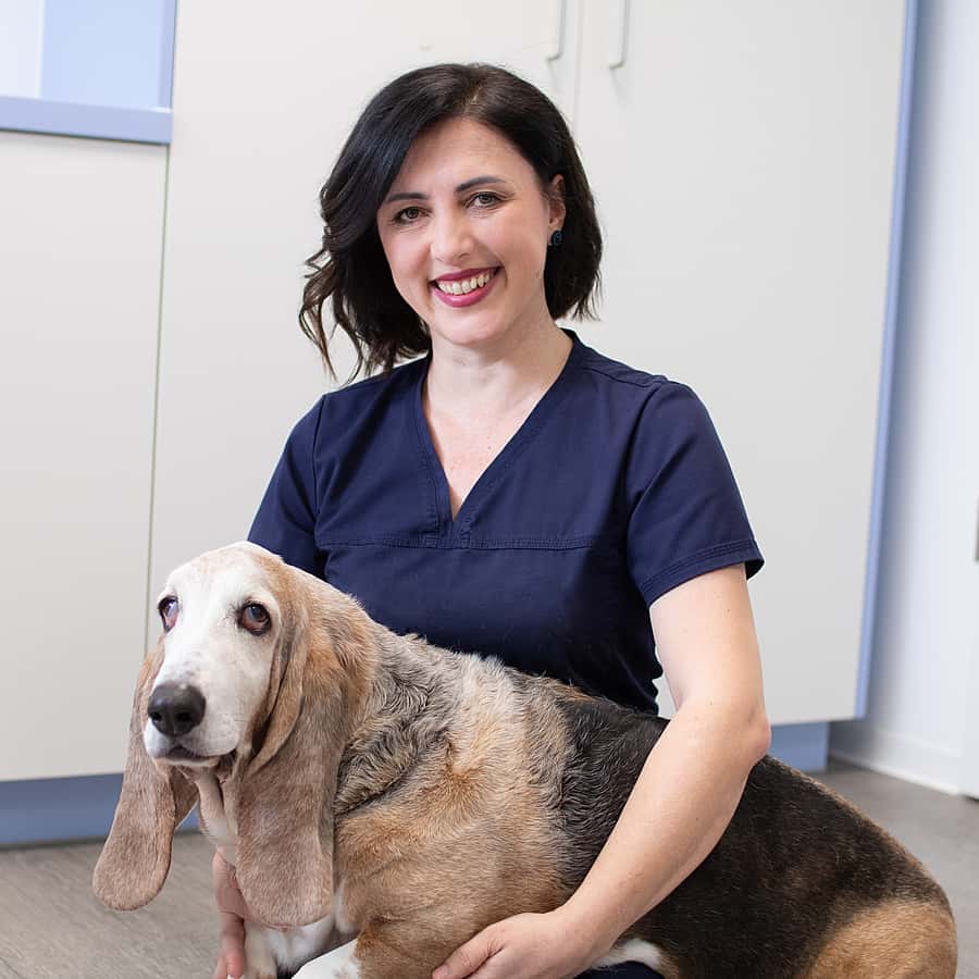 Dr (Uni Sarajevo) Agnesa Coralic