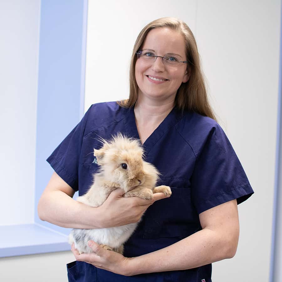 Dr. Katharina Windau