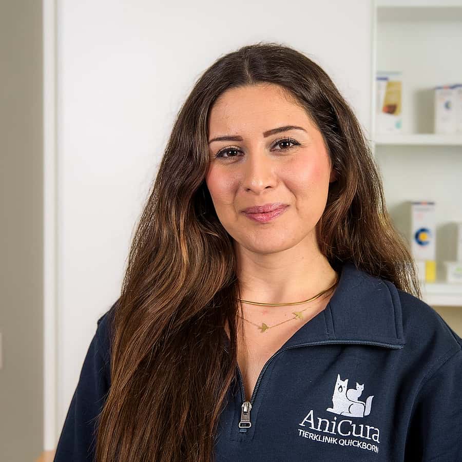 Dr. Merve Alan