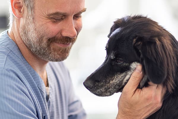 Eine Person, die einen Hund streichelt.