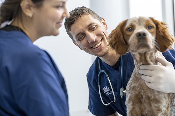 A person and person holding a dog.