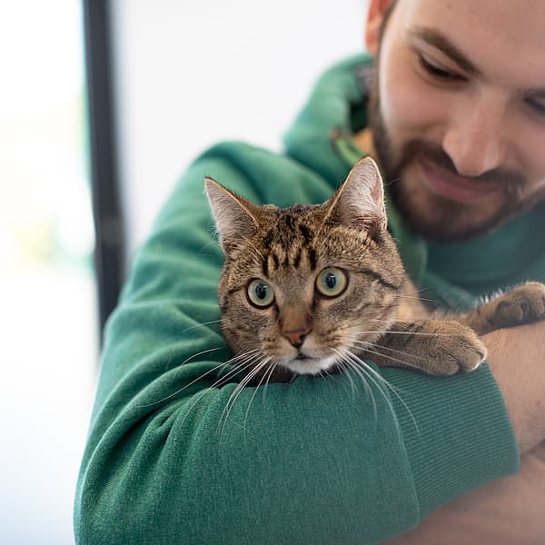 Eine Person, die eine Katze hält.