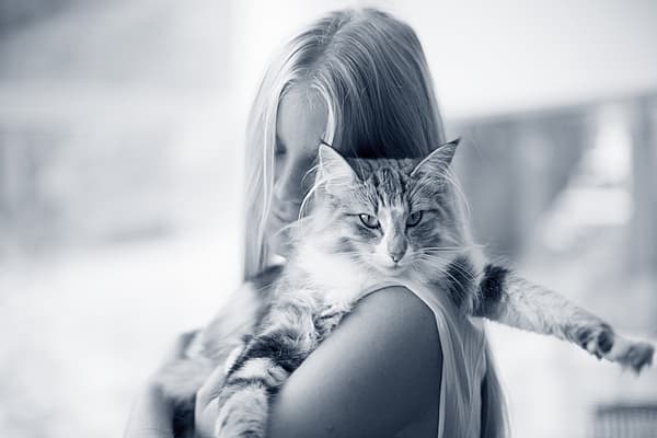 Eine Person, die eine Katze hält.