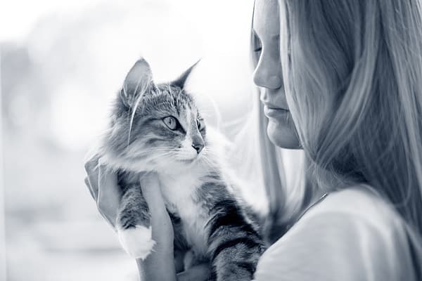 Eine Person, die eine Katze hält.