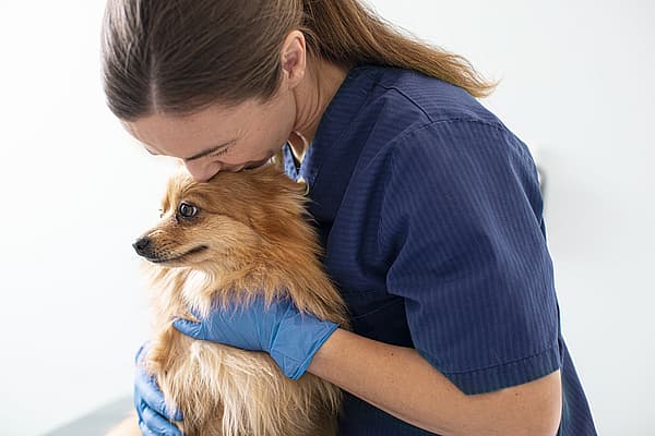 Eine Person in blauen Kitteln, die einen Hund küsst.