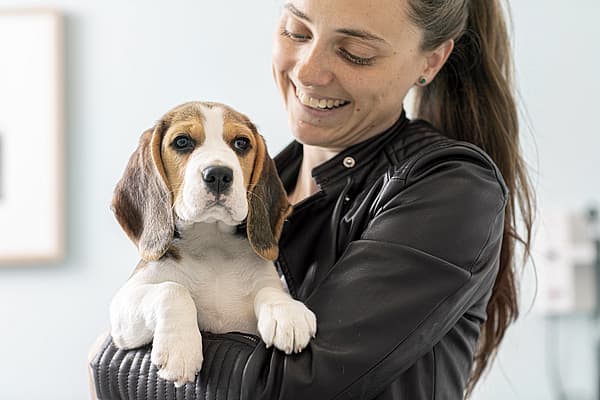 A person holding a dog.