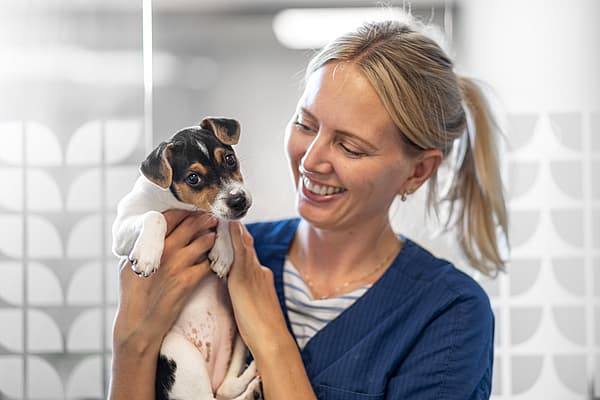 A person holding a dog.