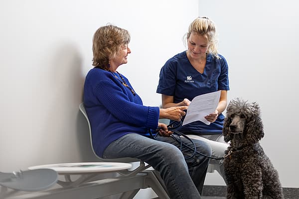 Tierärztin und Tierbesitzerin sitzen mit einem Hund im Wartezimmer und unterhalten sich