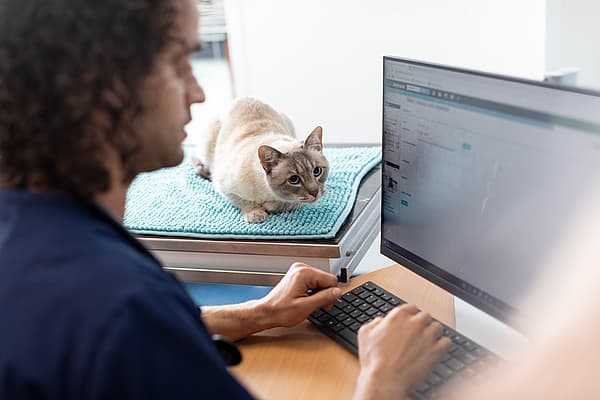 Eine Person, die an einem Computer sitzt.