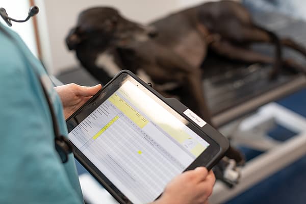 A person holding a tablet.