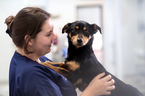 A person holding a dog.