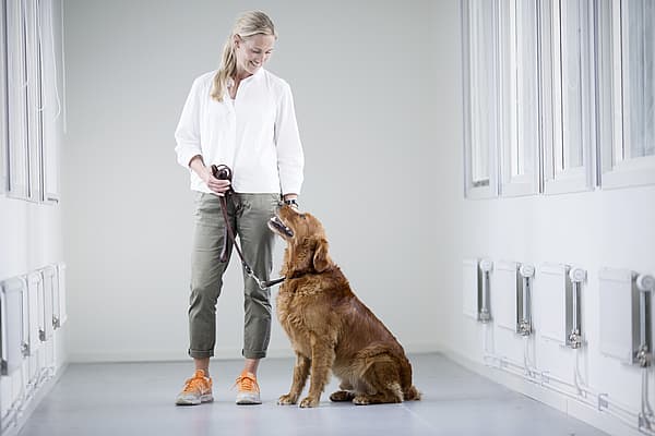 Eine Person, die neben einem Hund steht.