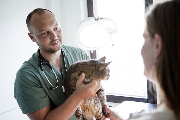 Eine Person, die eine Katze hält.