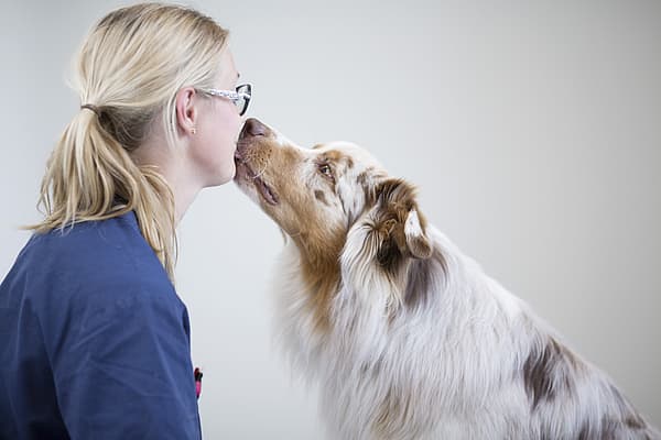 Eine Person, die einen Hund küsst.