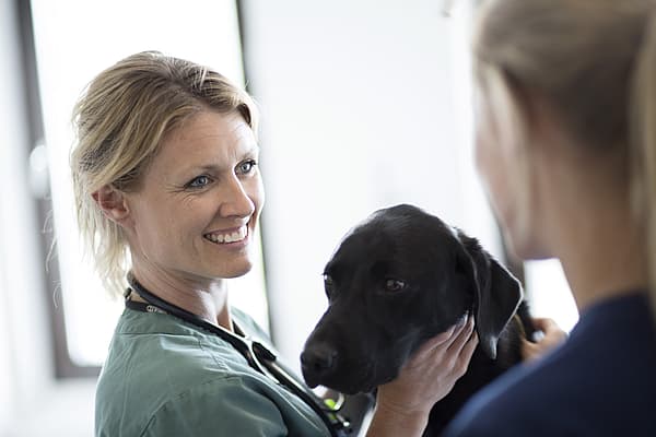 A person holding a dog.