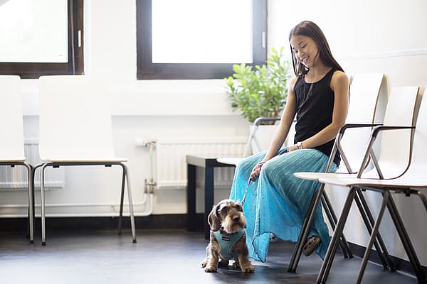 Ein Kind, das mit einem Hund auf einem Stuhl sitzt.