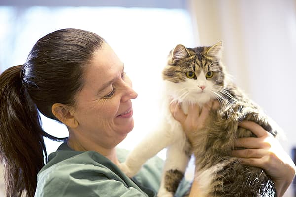 Eine Person, die eine Katze hält.